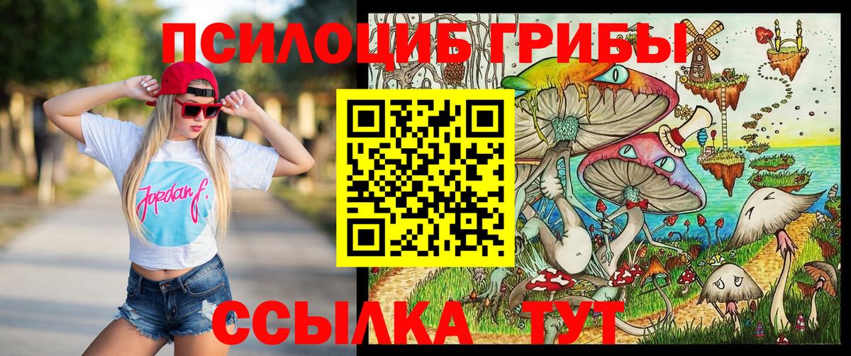 Галлюциногенные грибы прущие грибы Армавир